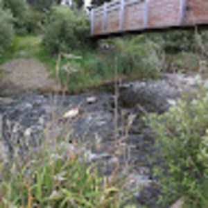 Meet your Posher, Shauna